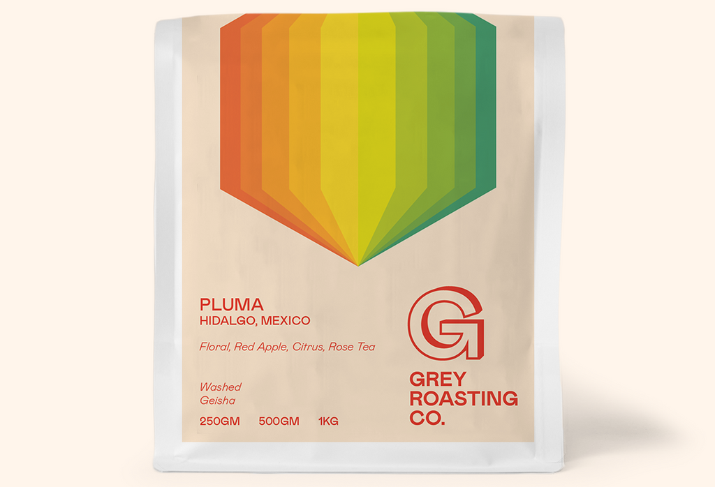 Pluma Hidalgo, Mexico, Washed Geisha - Grey Roasting Co