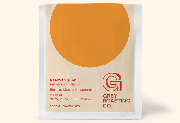 Kamwangi AB, Kirinyaga, Kenya - Washed