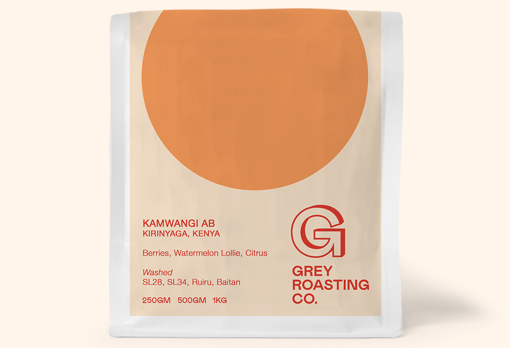 Kamwangi AB, Kenya - Washed